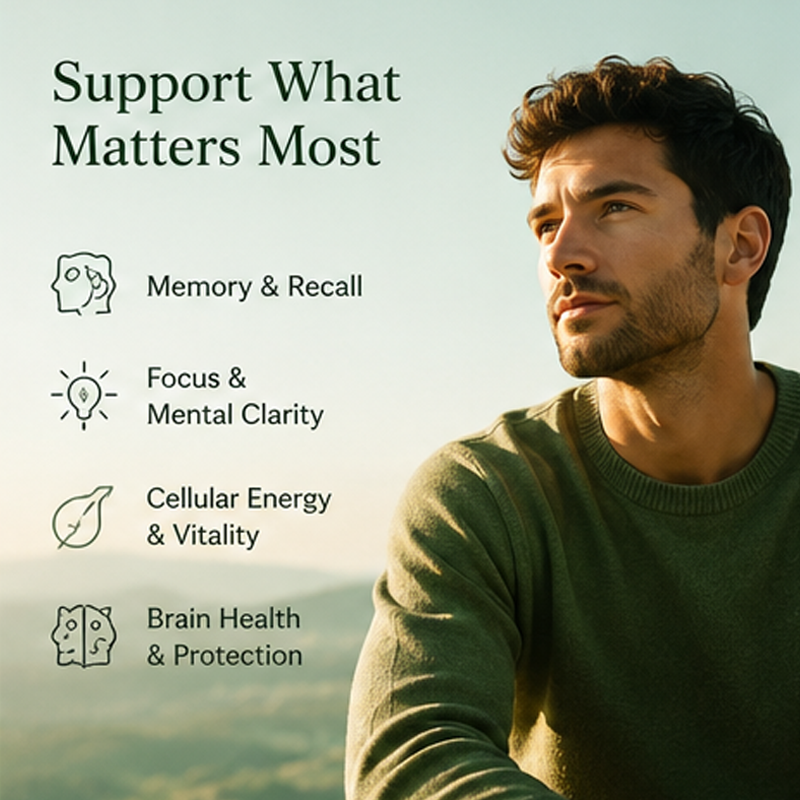 Daily Mind Support Gummies