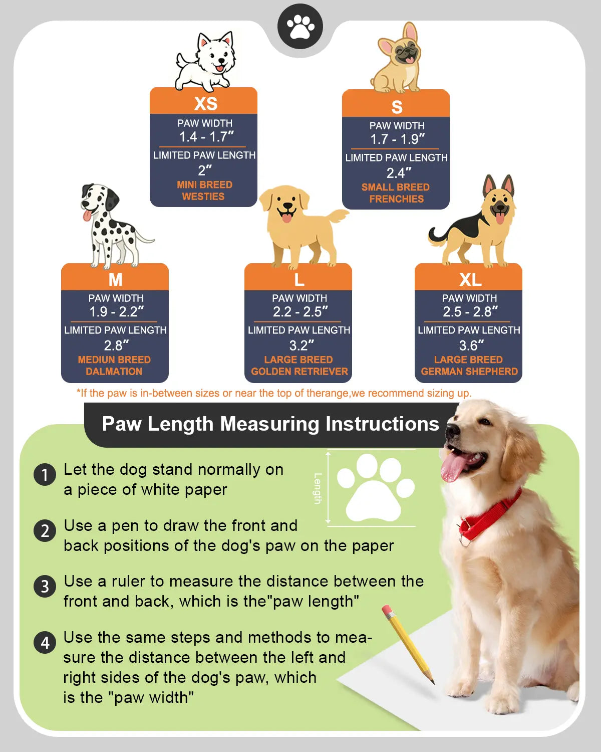 Waterproof Dog Shoes for Hot Pavement